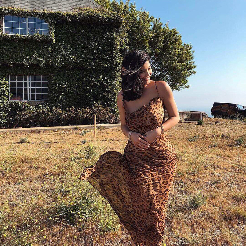 2026 European and American Cross-Border Summer New Women's Clothing Amazon Best-Selling Backless Leopard Print Dress Women's Long Dress