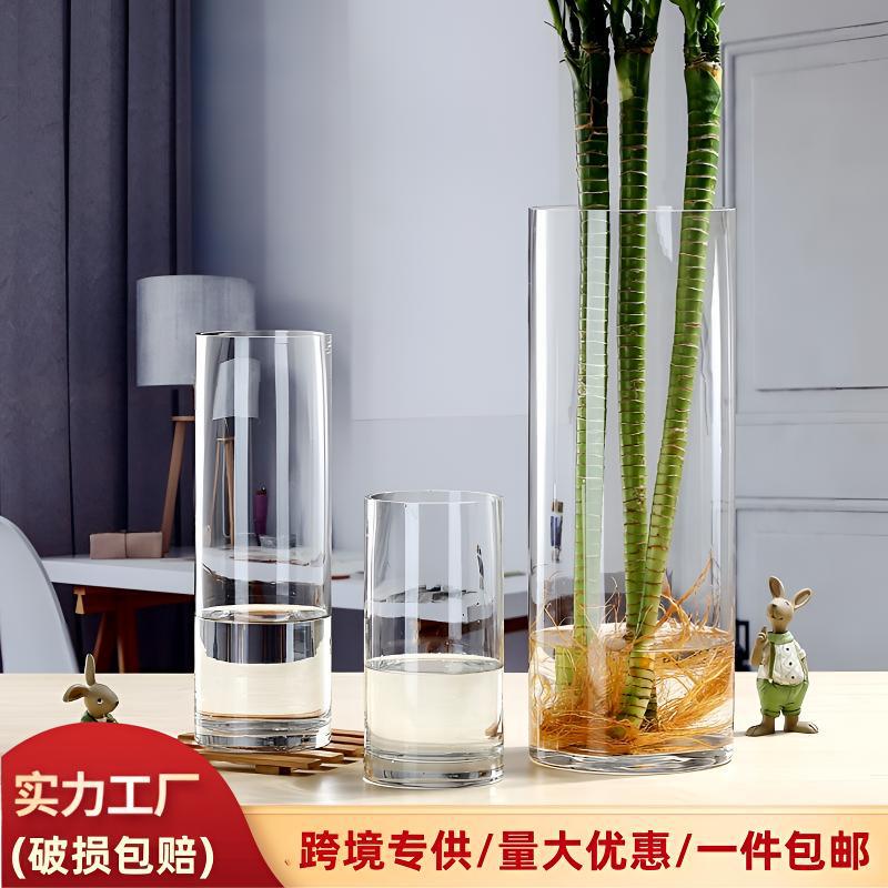 Simple Straight Glass Vase for Dropshipping, Lucky Bamboo Vase, Living Room Decorative Ornament, High-End Hydroponic Vase
