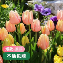 ������N����ذ������ֲ���҃��ļ�ˮ����������Ի��绨��