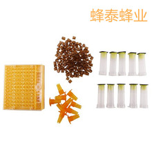 育王盒1个 棕色王台110个蜂王保护罩10个黄色开口王笼10个
