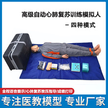 供应自动心肺复苏训练模拟人语音提示心肺复苏假人模型CPR模拟人