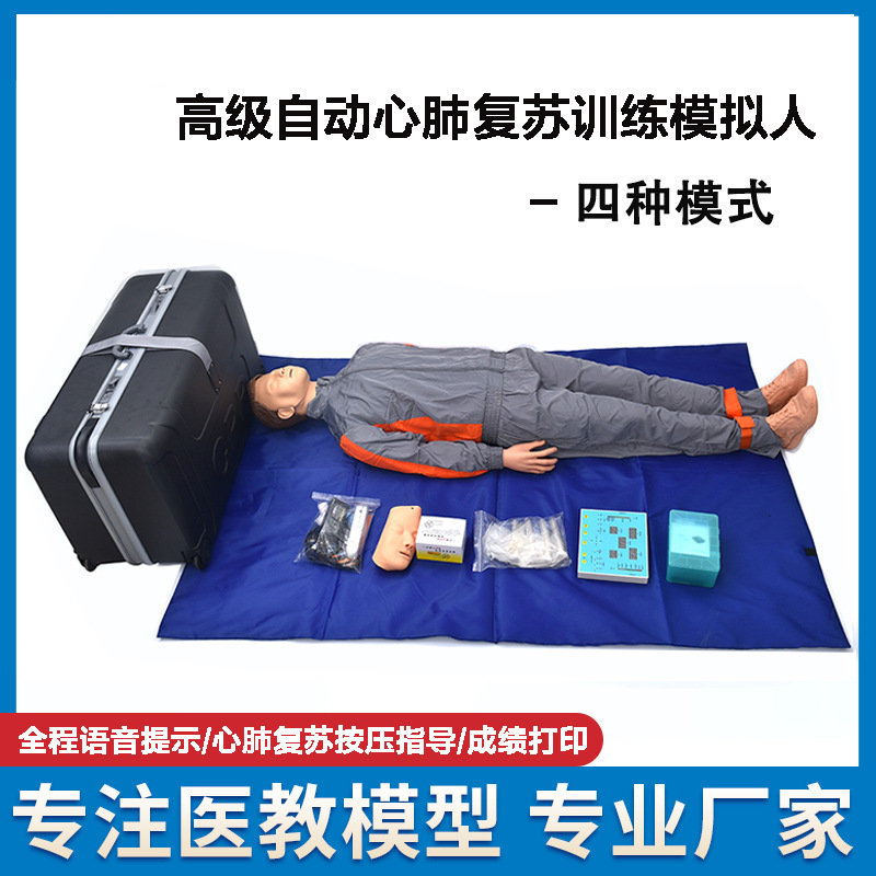 供应自动心肺复苏训练模拟人语音提示心肺复苏假人模型CPR模拟人