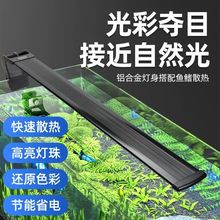 �~�ױ����ȫ���Vֲ���a���ˮ��ԭ���A���������~�ן��L��ˮ�ݟ�