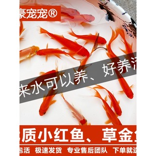 �ݽ��~���~�\���~���^�p�~��ˮ�~��ˮ�~С���ͻ���wС���~�t�ݽ�