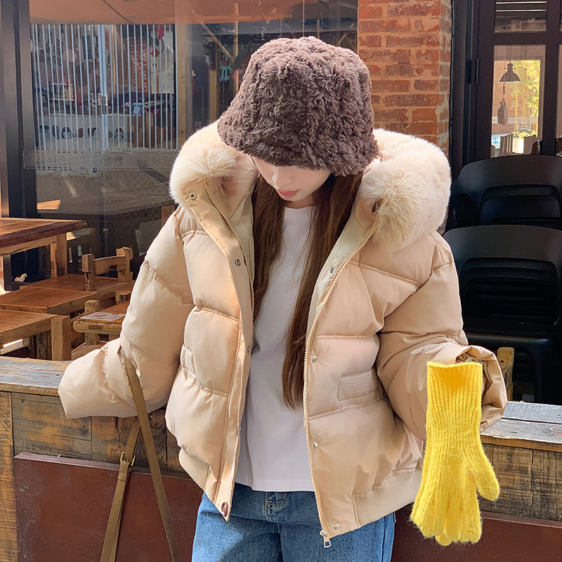 Invierno nuevo 2024 Corea del Sur Dongdaemun ropa de algodón de cuello grande mujer corto suelto ocio grueso chaqueta pequeña image 4