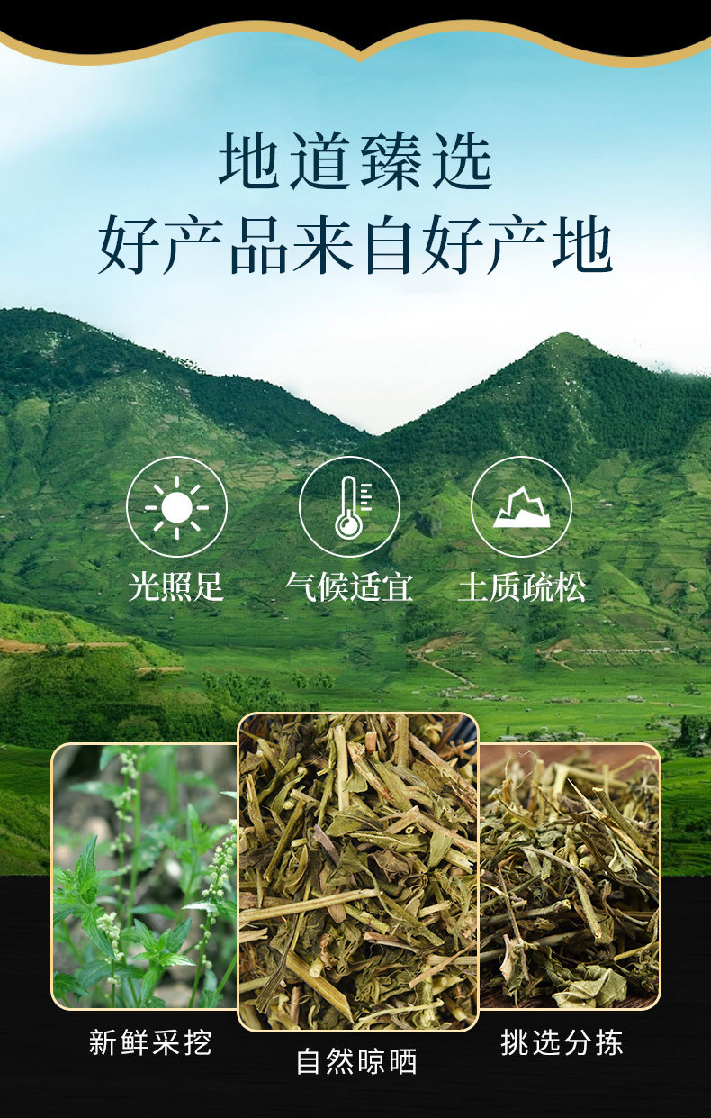 Tou Gu Cao (Phryma leptostachya) — Dried Chinese Herbal Pieces, Clean & Pure, 500g overview