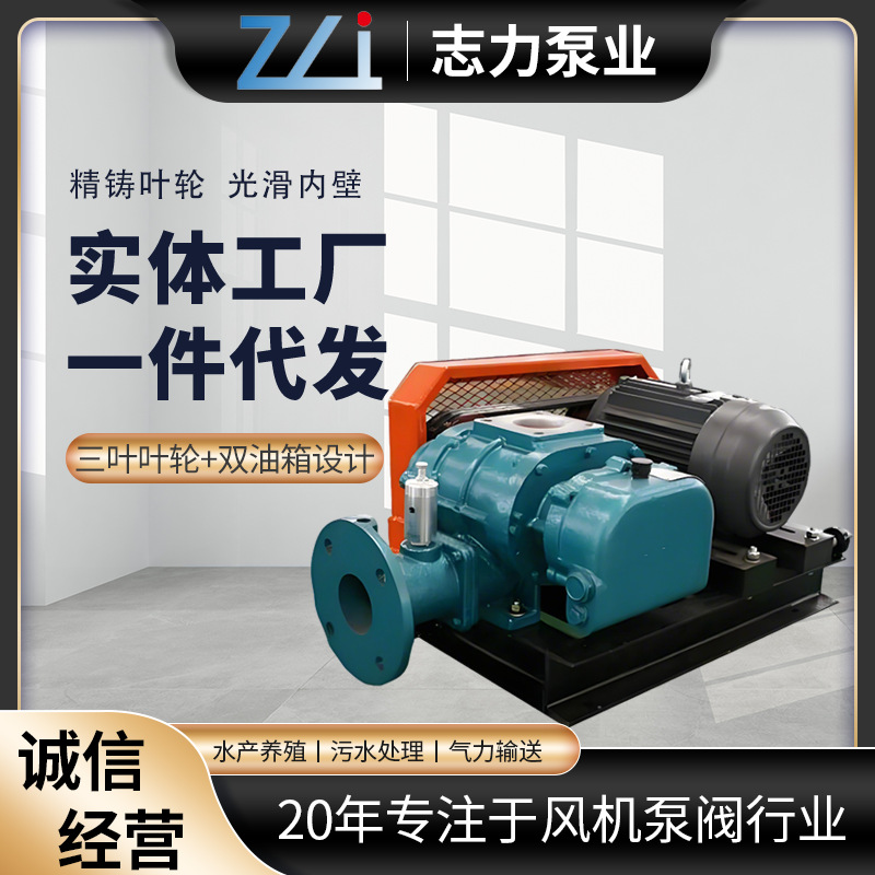 罗茨鼓风机型号维修三叶罗茨风机气力输送污水处理用罗茨风机