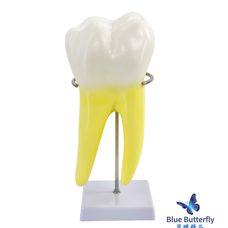 ����ĥ������ģ�� �׶�԰�̾�ҽѧ��ѧ��������ͨ�� �����֧��