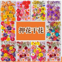 �ɻ����������ֹ�diy���ϰ�ֲ��˱����zѺ����Y�N������b�Ʒ