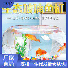 创意水族箱生态圆形玻璃金鱼缸 大号乌龟缸 迷你小型造景水培花瓶