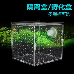 Isolation Box Single, Double and Multi-Grids Isolation Net Acrylic Fish Tank Transparent Aquarium Small Fish Fry Incubator Breeding Box Production Box