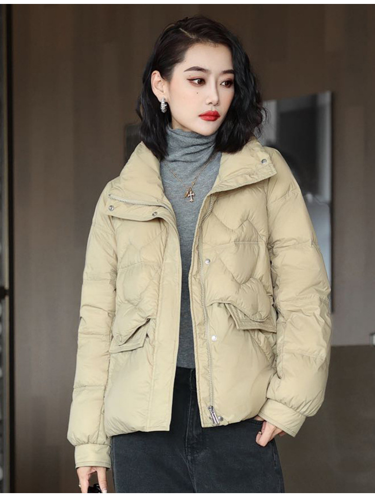 Invierno nuevo cuello vertical chaqueta de plumón mujer abrigo abrigo abrigo corto suelto stock