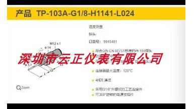 TP-103A-G1/8-  H1141-L024 温度变送器 传感器