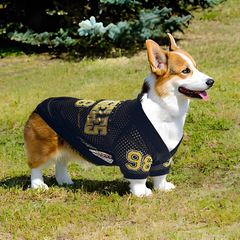 25年の新型アメリカ式ペット服の通気性ネットの薄いタイプの犬のtシャツのテディの科基の雪納瑞の涼しい感の服