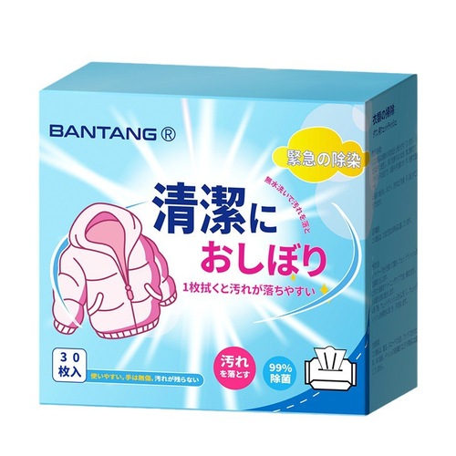 Clothing Stain Remover Wash-Free Down Jacket Cleaning Wet Wipes for Clothes Special Dry Cleaning Wet Wipes Portable Household Use