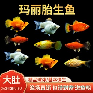 ̥���~�����~Ƥ���~���B�ͻ��^�p�~���w�׷�ֳС�͟Ꭷ�~�����Ї�