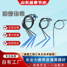 50cm毛管一出四弯滴箭套装带稳流器果树花卉滴箭滴灌系统滴箭滴剑