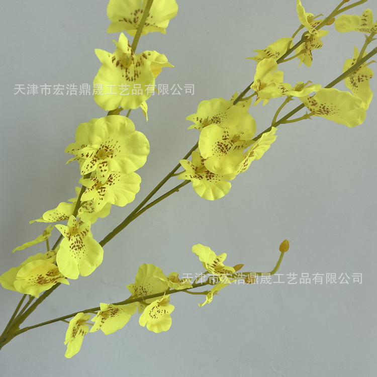 微信图片_202205301526322_副本