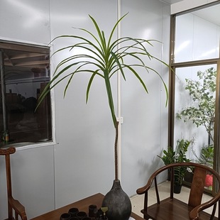 ��Ѫ�Fܛ�b�쾰������Ѫ��ֲ����ؔ[���Gֲ����F�߷���Ҿ��b��