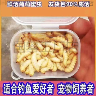 ly�����������x���w���x��Ϟ���۴����B�x�����،m���}���J���u��