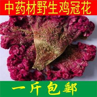 �u�ڻ��ɼ���ȻҰ���t�u�ڻ���ɻ��N�����а��u�ڻ�