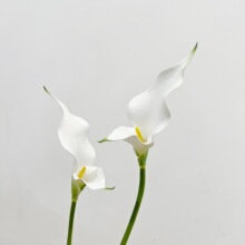 简约高品质白色马蹄莲海芋逼真假花样板房仿真婚礼拍摄写真手捧花