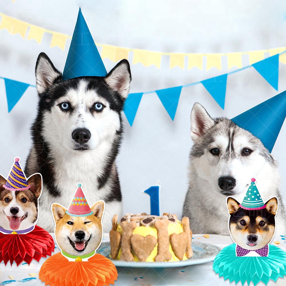 Nueva mascota perro tema fiesta de cumpleaños decoración panal decoración perro fiesta decoración de escritorio