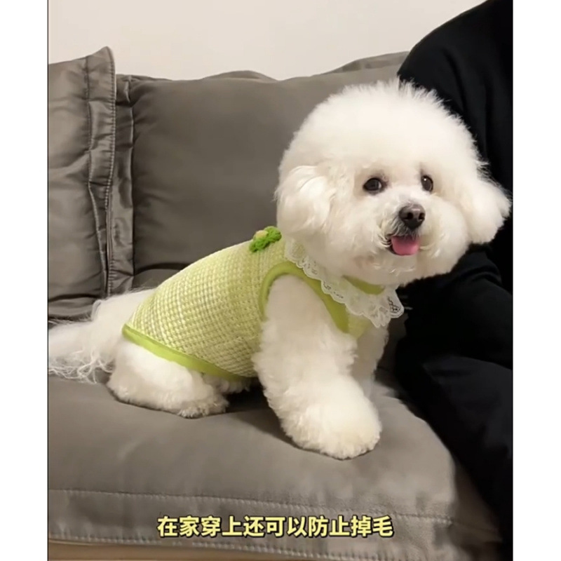 Ropa de perro de verano delgada con botón de tracción lindo chaleco sin mangas de encaje Teddy Bear Boomerang pequeño cachorro