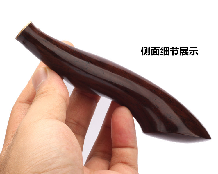 黑檀雨燕011.jpg