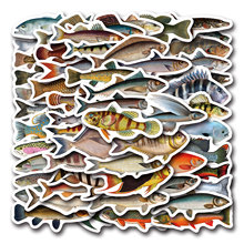 55��Fish��~�T�f�N���b�������Pӛ���֙C��ͨ�N���S�����l