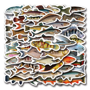 55��Fish��~�T�f�N���b�������Pӛ���֙C��ͨ�N���S�����l