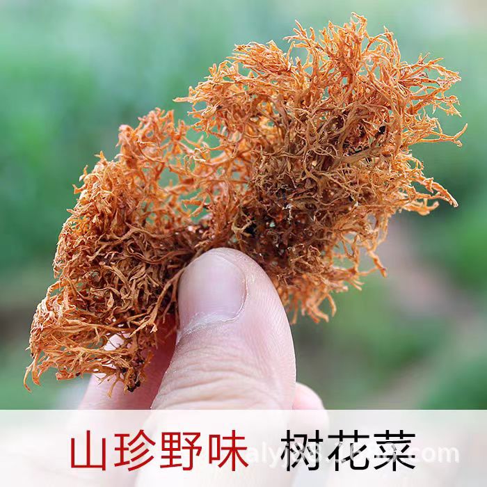 野生树花菜树皮菜树花树胡子凉拌菜干货绿树花青树花绿草黄草风干
