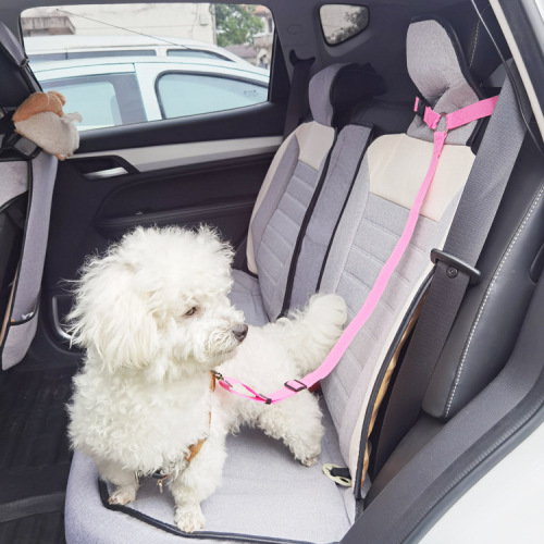 Traction rope new pet car safety rope cat and dog car travel safety belt special for small and medium-sized dogs