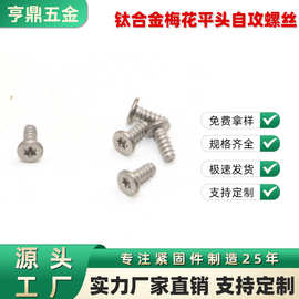 直供钛合金梅花平头自攻螺丝各类型螺丝螺钉批发梅花平头自攻螺钉