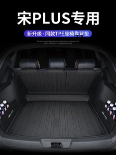 Pro Champion Trunk Special Ev Song Edition Tail Dmi 2025 Car Accessories Plus Mat Byd