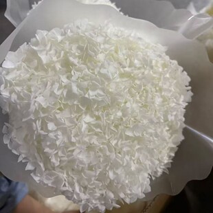 ���Ƚ��������� ��֦���� �ɻ�diy���� ��c ��Y �p�ݻ��껨��