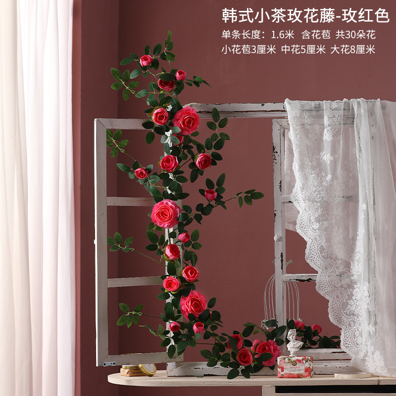 장미 붉은 한국 차 장미 꽃 덩굴 1.75 미터