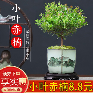 С�~����մ����ԾGֲ�҃ȿ͏d���B�Ϙ������ļ����������՚����^