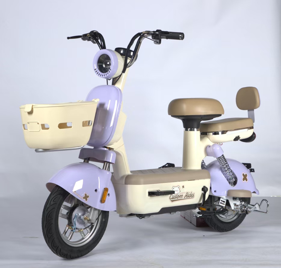 Bicicletas eléctricas al por mayor para estudiantes de dos ruedas Subway eléctricas Yuan Cosmos exportación transfronteriza coche de batería