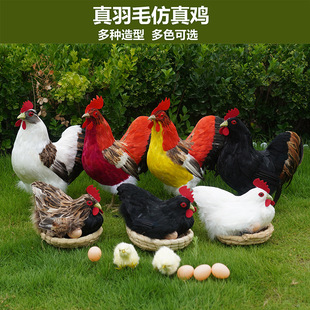 ��������u��ë������ؔ�[�����uĸ�u�o�Bģ�ͽY��c��Ф�u�[�O