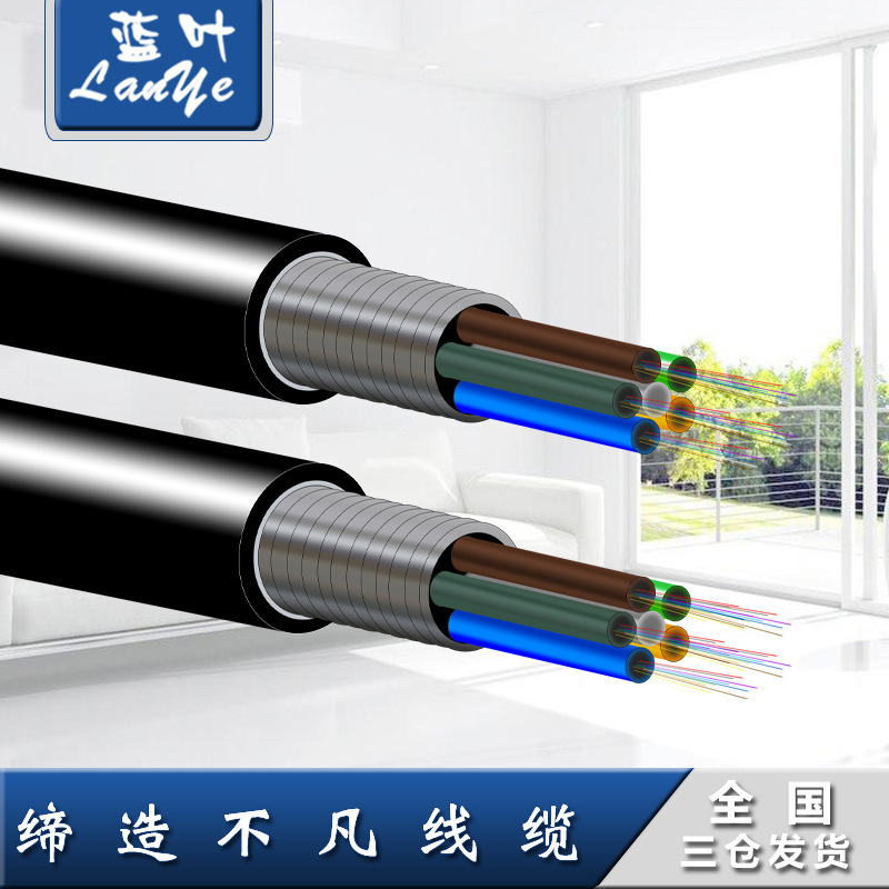 光纖4 6 8 12 24 48芯室外單模通信光纜光纖中心管式輕铠裝光纜