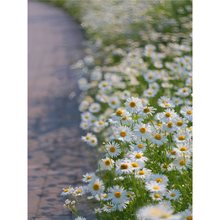 IշNrʾ̨ͥԺɣܻNļN_