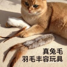 &radic;��Ȼ��ëë�q��ߚ�ζ�S�����˽␞��ë�x�`����؈��βë�l؈��