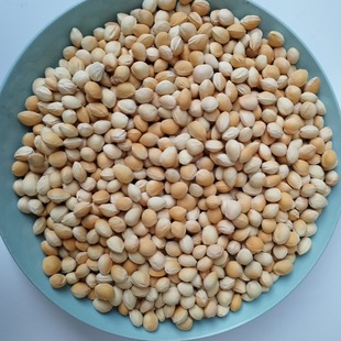 ���Һ˒����ĥȥ����ߜ���������������߰����ӟ����^�����