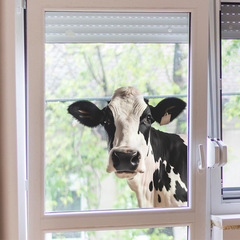 Vanshi FX-F509 Cartoon Animal Cow Glass Doors and Windows Home Decoration Decal Sticker Wholesale UV
