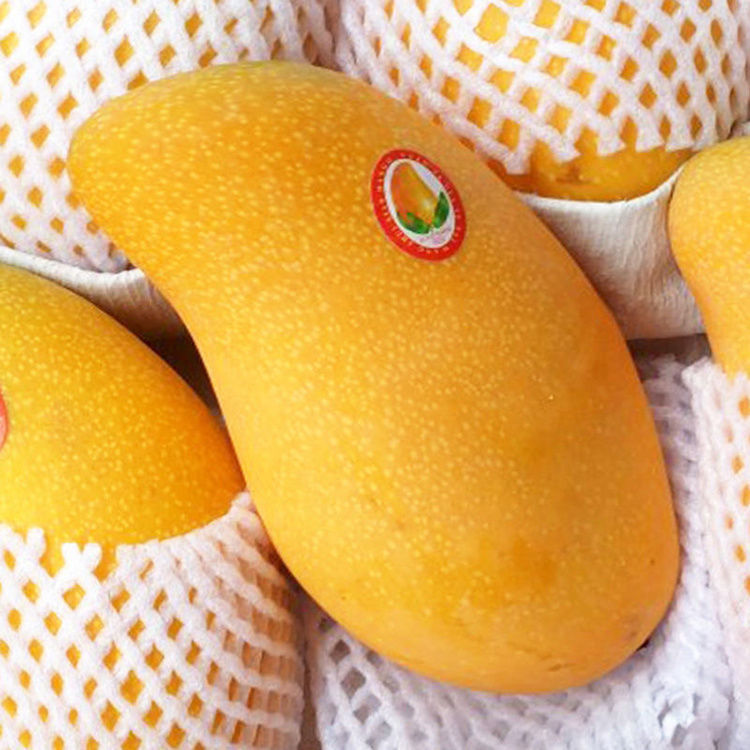 5kg Full Box Free Shipping Jinhuang Mang Seasonal Big Jinhuang Mang Narcissus Mango Sweetheart Fresh Tropical Fruit Mango 5kg Full Box Free Shipping Jinhuang Mang Seasonal Big Jinhuang Mang Narcissus Mango Sweetheart Fresh Tropical Fruit Mango