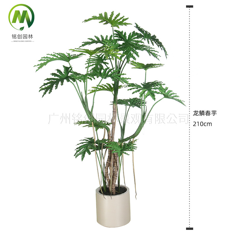 Simulación de interior Planta verde Simulación de plantación de disco Escala de dragón Taro de primavera Sala de estar Balcón Simulación Planta verde falsa Oficina Bonsai