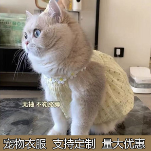 �����F�e؈����ܲ���ѩ�{��̩��С��Ȯ�s�˹��·�С�͹����ο�