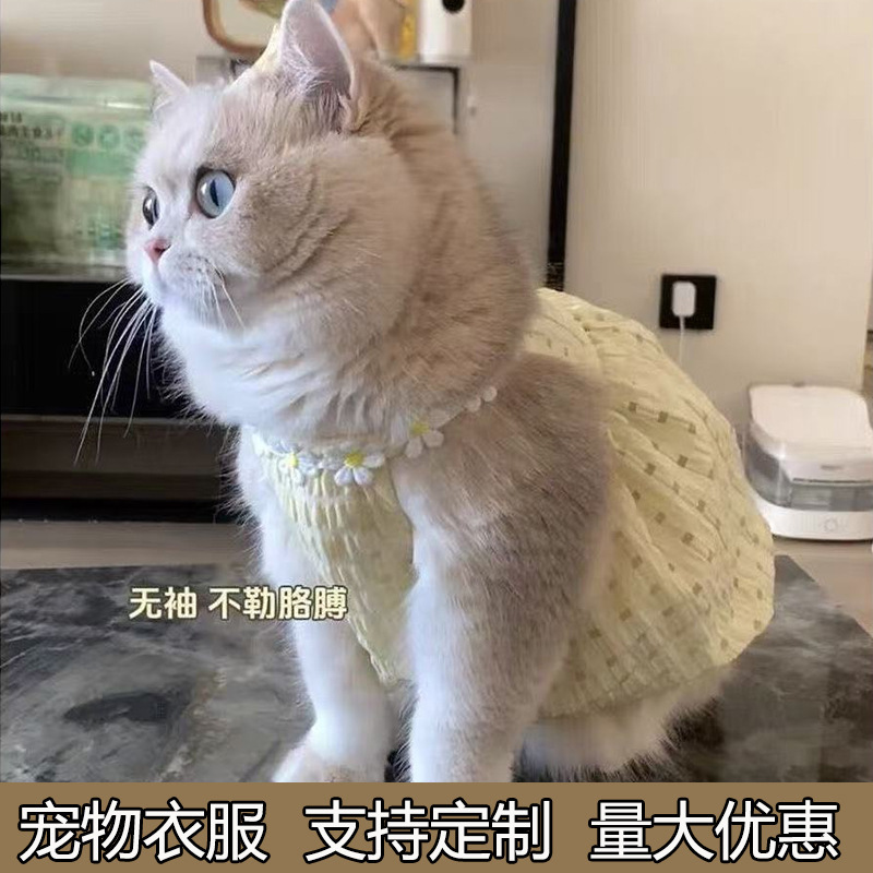 ペット プードル 猫 ビション ポメラニアン シュナウザー テディ 小型犬 ヨーク犬服 小型犬 春 シングルスタイル|undefined