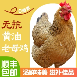 鸡蛋;鸡肉类;皮蛋类